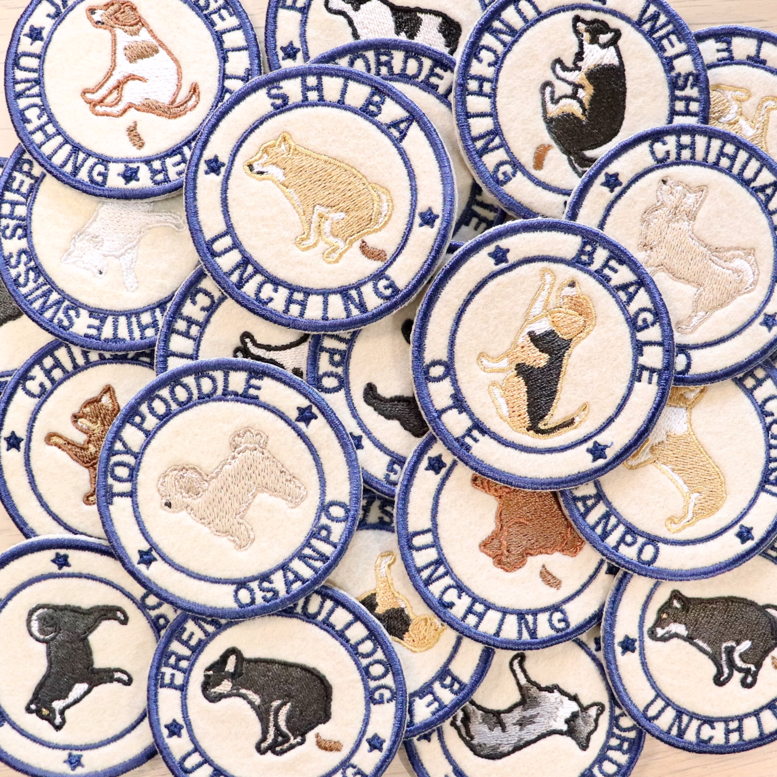 20240426ふるすて「INU NI SOMARU」写真⑤.JPG