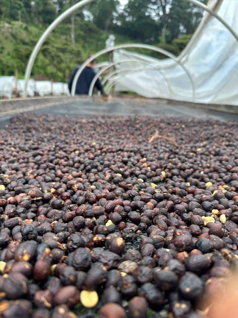 ナチュラル のコピー.jpg