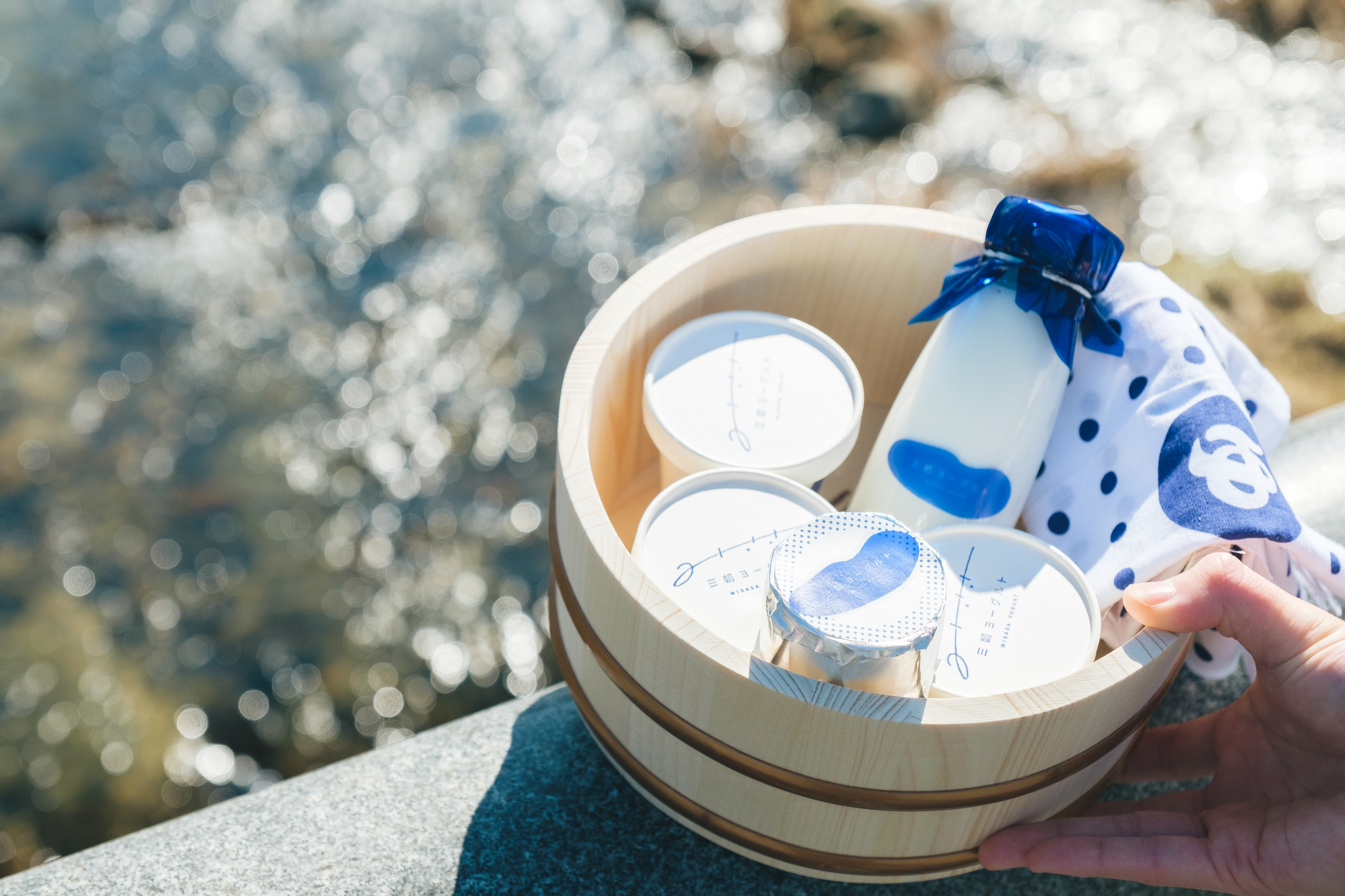 三朝ヨーグルト (3).jpg