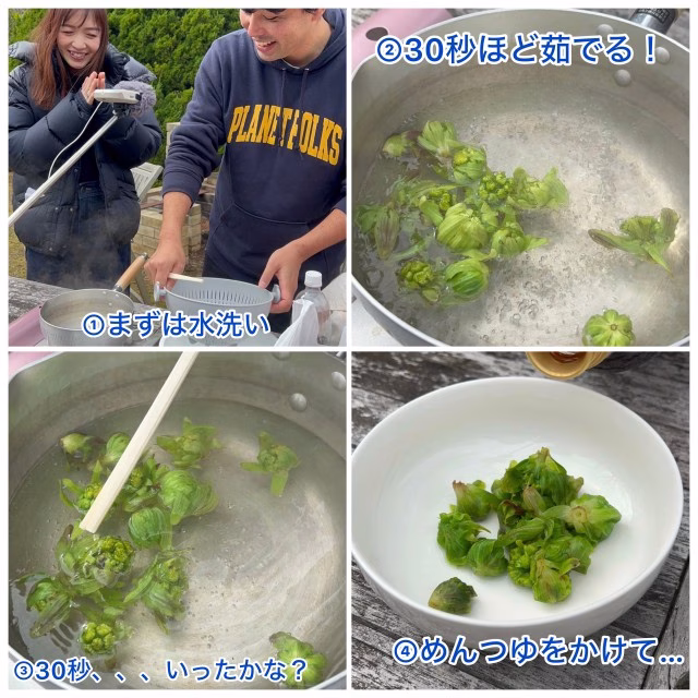 フキノトウを茹でる.jpg