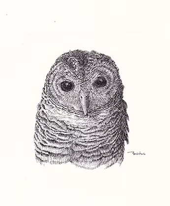 portrait serried Ⅳのコピー.jpg