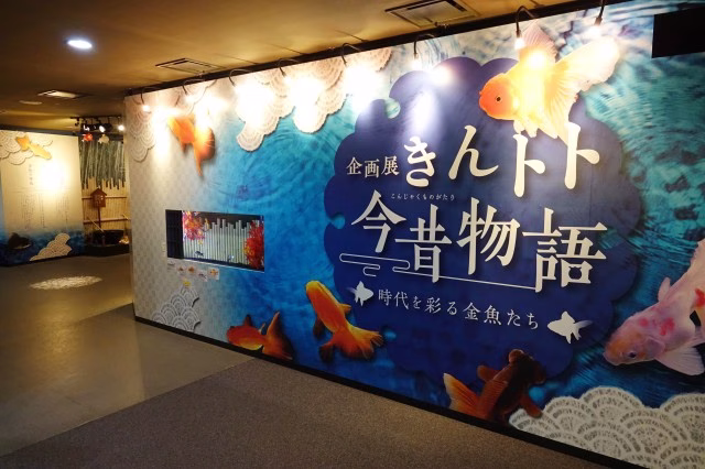 アクア・トト ぎふ　企画展【秋】④.jpg