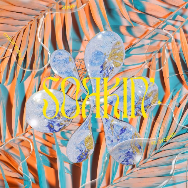 Soakin cover art .jpeg