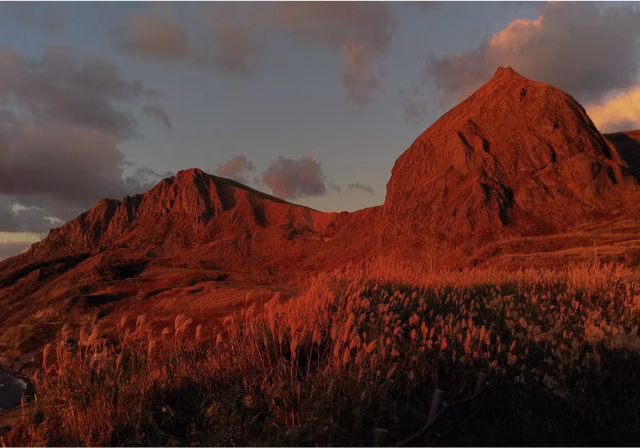 スクリーンショット 2023-08-21 9.06.00.png