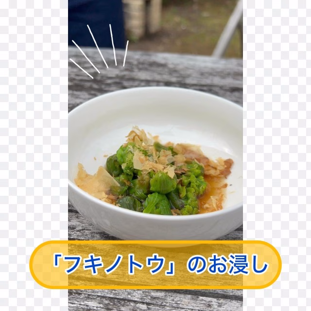 フキノトウのお浸し完成.jpg