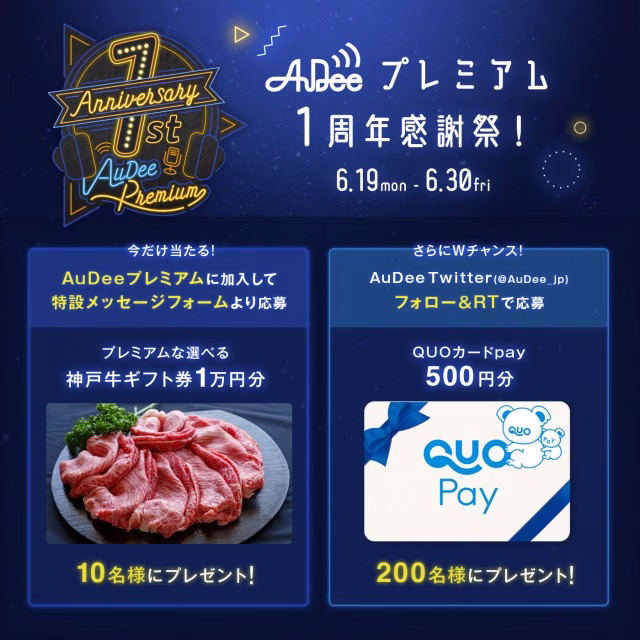 audeepremium-1st_present (5).jpg