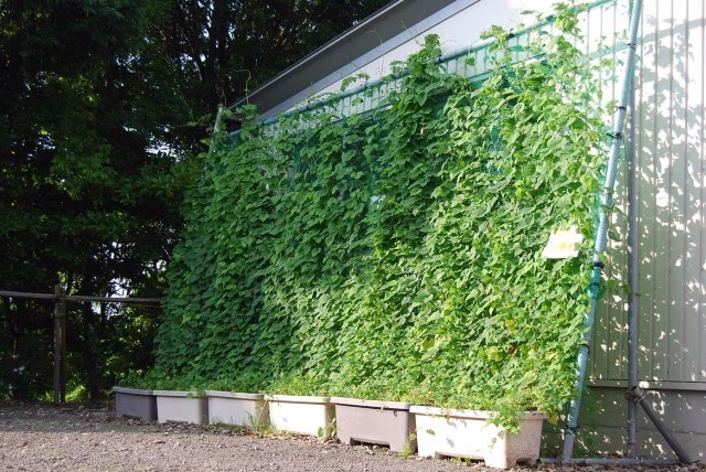 LINE_ALBUM_2023.8.22 _1_230825_4.jpg