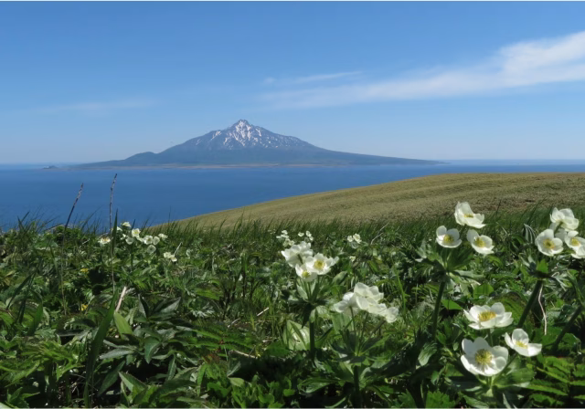 スクリーンショット 2023-08-21 9.04.15.png