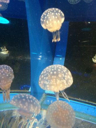 6月19日（火）今日の1コマ