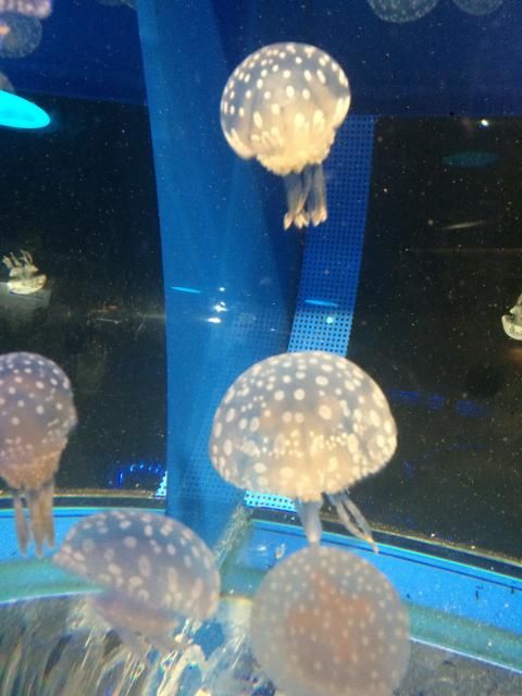 6月19日（火）今日の1コマ