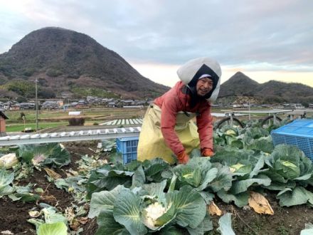 お宝ファイル NO.113 踊る農家 石谷