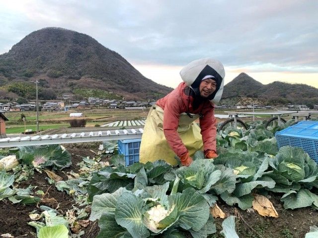 お宝ファイル NO.113 踊る農家 石谷