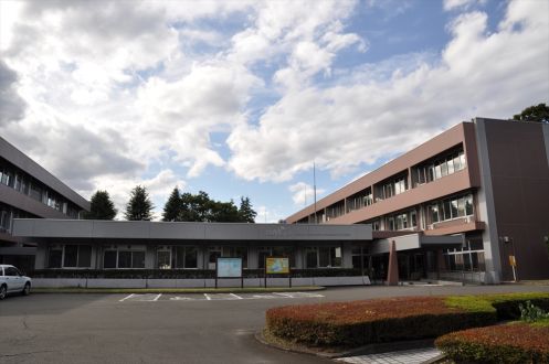 火星にある極冠の氷は、主に何でできているか？