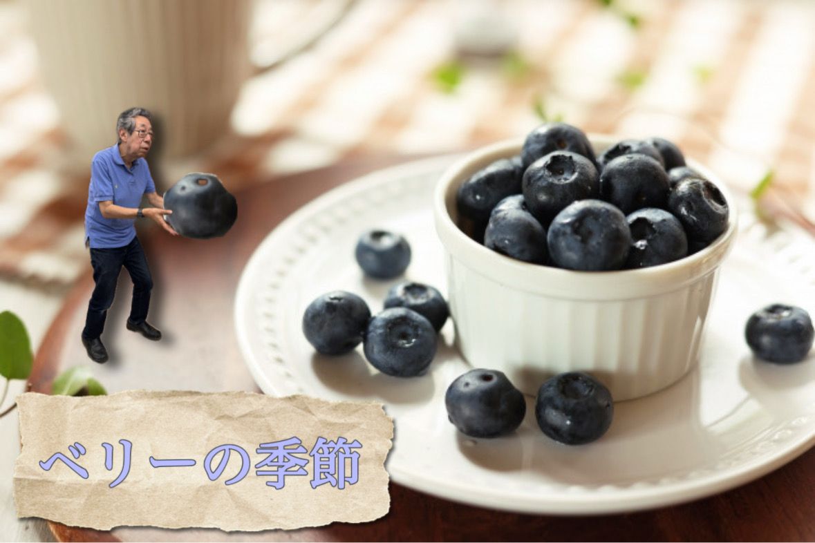 ベリーの季節