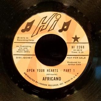 バイナルギャラリー (RHYMESTER DJ JINの秘蔵レコード)