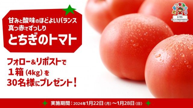 フォロー＆リポストしてくれた方の中から抽選で30名様に、栃木県産のおいしいトマト? をプレゼント！