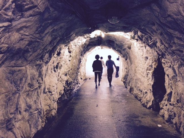 7月28日（火）今日の1コマ