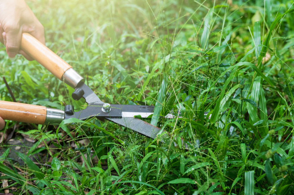 「草刈りルンバ」