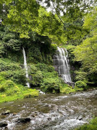 ラジオドラマ【Dear Japan～都留・わさびと湧き水～最終話】
