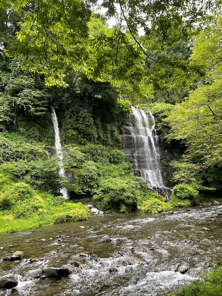 ラジオドラマ【Dear Japan～都留・わさびと湧き水～最終話】