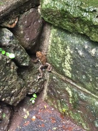 3月19日（月）今日の1コマ　