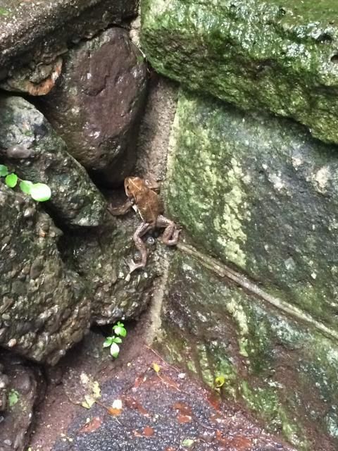 3月19日（月）今日の1コマ　