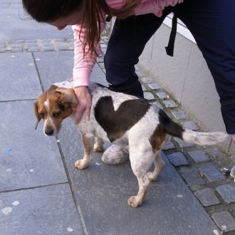 2015年2月16日（月）今日の1コマ