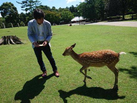 本当は悪人じゃない？～光秀、久秀、村重の素顔～