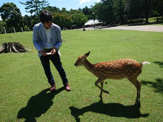 本当は悪人じゃない？～光秀、久秀、村重の素顔～