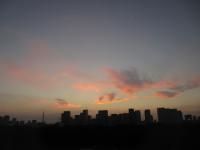 ９月２日（月）