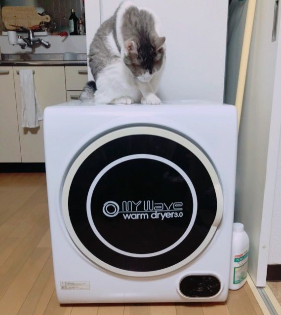 ４月２７日（火）今日の１コマ