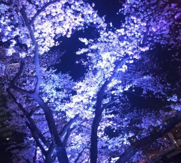 3月29日（木）今日の1コマ