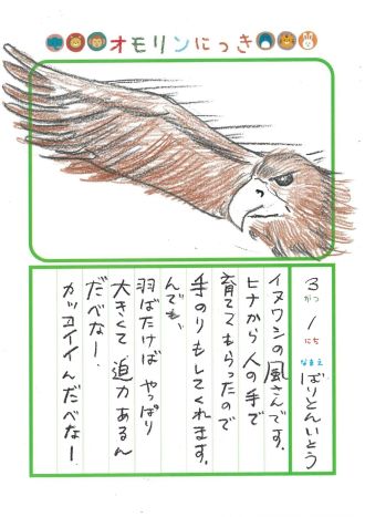 2026年3月1日「イヌワシさんをみできましたよ」