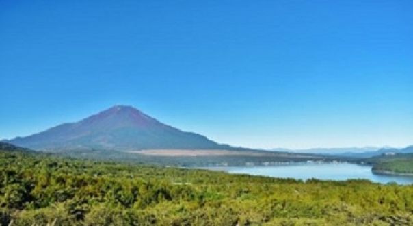 富士山は外せない!? 東京五輪「ロードレース」“難コース”決定の気になる裏側