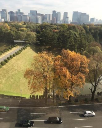 11月30日（水）simple style