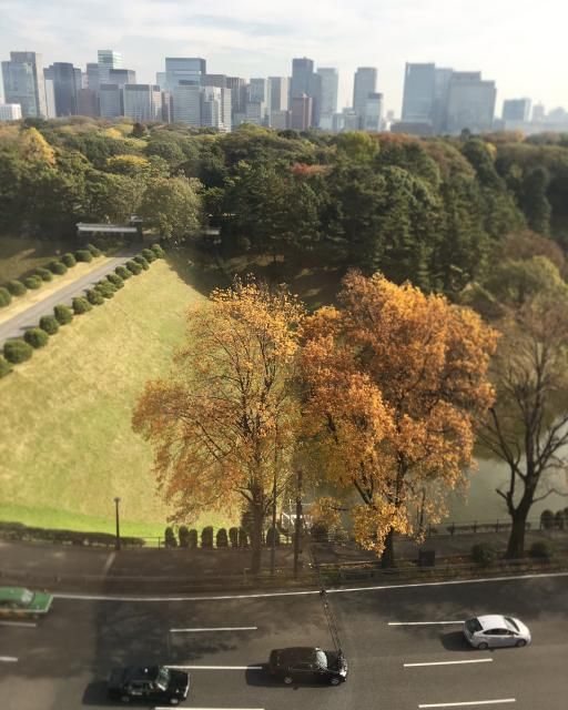 11月30日（水）simple style