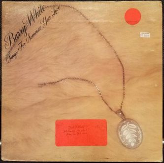 バイナルギャラリー (RHYMESTER DJ JINの秘蔵レコード)