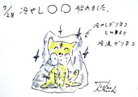 ７月28日（月）のデリフラは・・・・