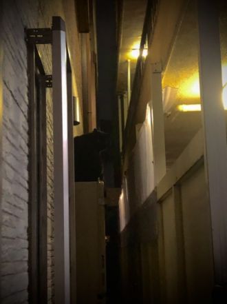 6月15日（火）今日の1コマ