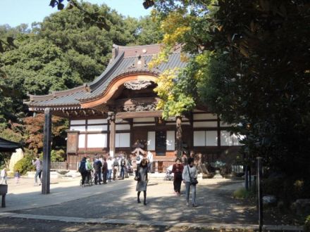 東京のオアシス 深大寺で癒させて