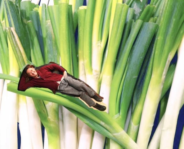 2018年11月21日(水)放送終了！