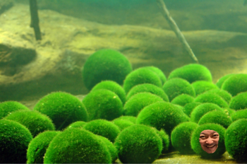 2022年3月29日（火）放送終了