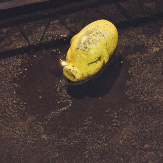 安田レイの見ーつけた（仮）#4