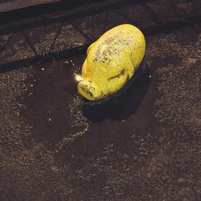 安田レイの見ーつけた（仮）#4