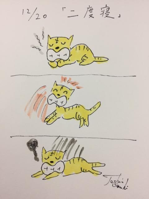 12月20日（火）のデリフラは…