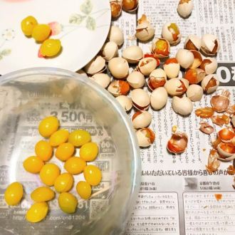 11月11日（水）今日の一コマ