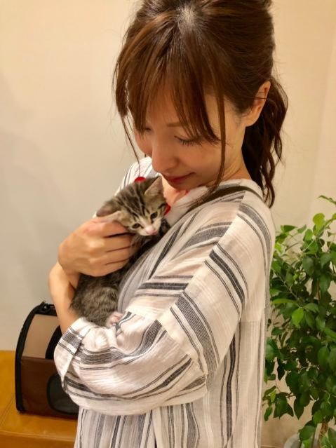 今日は「世界猫の日」