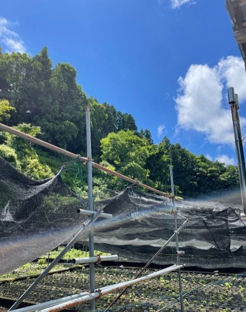 【Dear Japan～都留・わさびと湧き水～第3話】