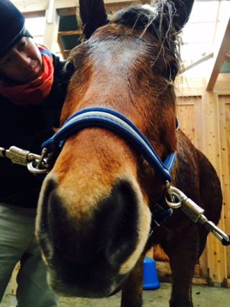 1月20日（水）担当：村上祐資