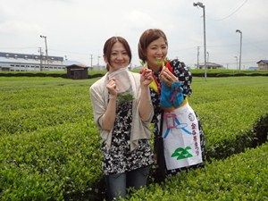 YAJIKITA的、新東名ドライブMAP! 新静岡～浜松SA